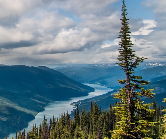 盐山盐百生活广场招工