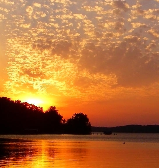 粉象生活是不是很难做