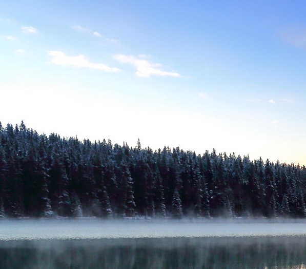 粉象生活推广一个多少钱
