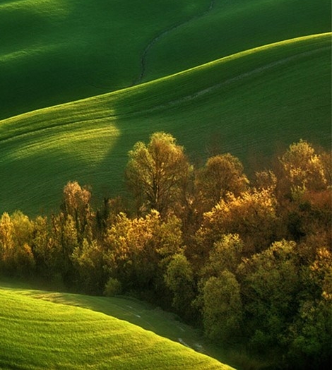 粉象生活如何开通分享
