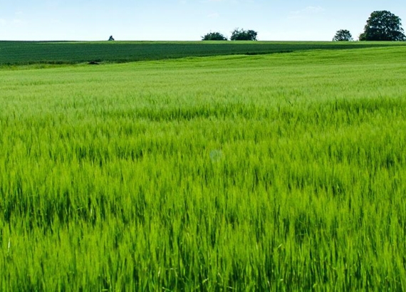 粉象生活被查了