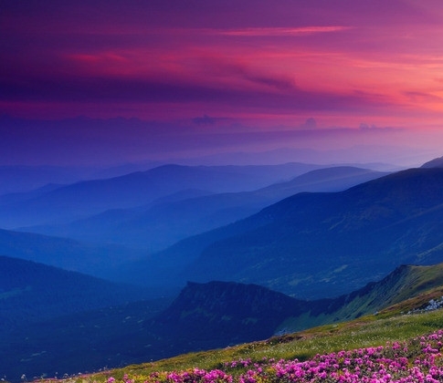 粉象生活怎么发布商品