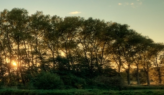 湖南运营粉象生活推广