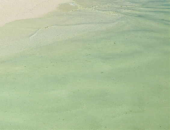 粉象生活收款收多少钱