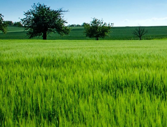 粉象生活锁粉技巧