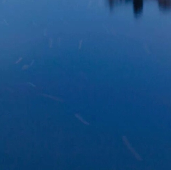 粉象生活优惠券使用