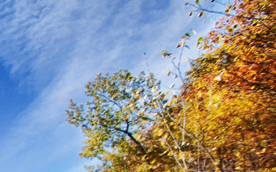 粉象生活是什么?