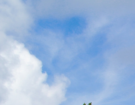 粉象生活佣金制度怎么样