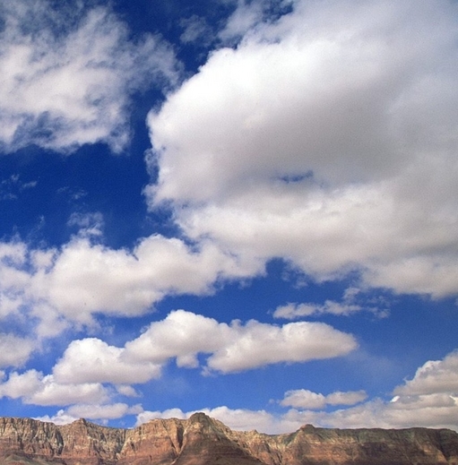 粉象生活如何开通推广