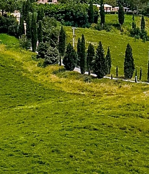 粉象生活下载app