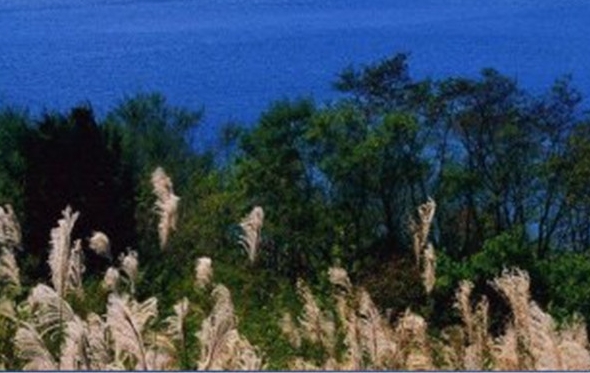 粉象生活是个什么样的平台