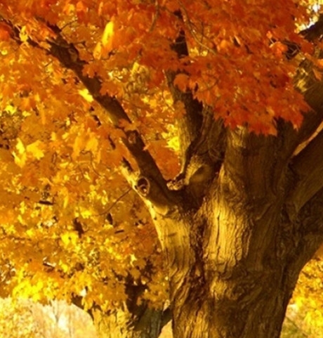 江西创新职业技能培训学校