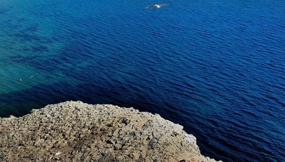 山东正规粉象生活好不好