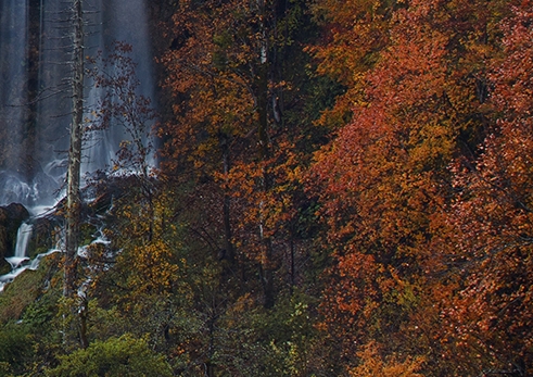 粉象生活邀请码填哪个好