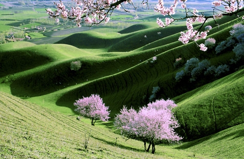 下载粉象app下载