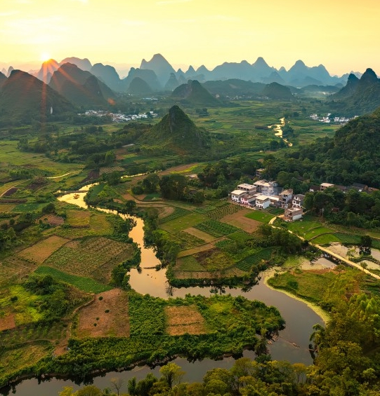 粉象生活靠什么盈利