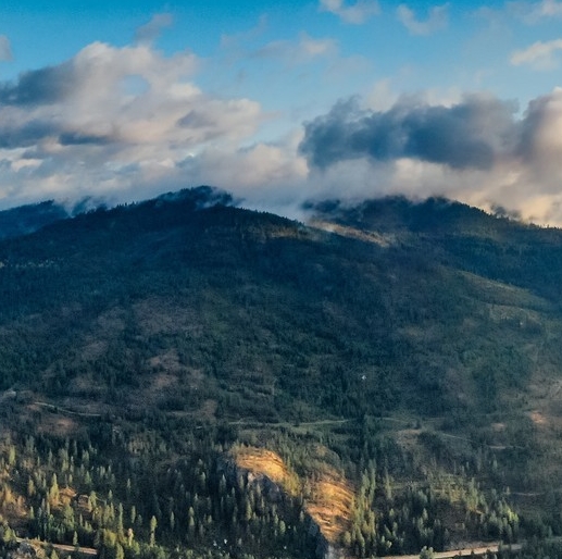 粉象生活真的可以赚钱吗