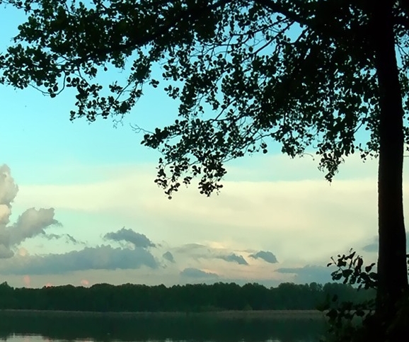 什么是粉象生活怎么玩