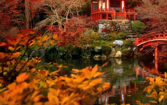 粉象生活自动运行