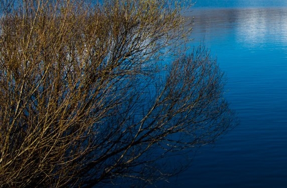 粉丝生活山东运营店