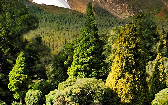 福建口碑粉象生活赚钱么