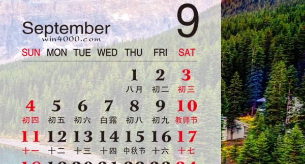 粉象生活月收入过万