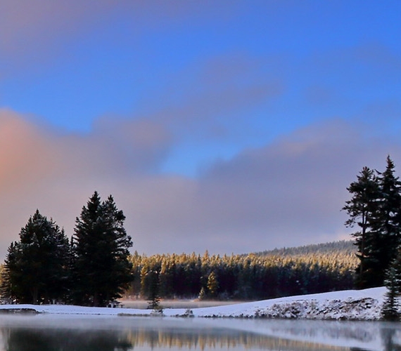 粉象生活升级vip有什么好处