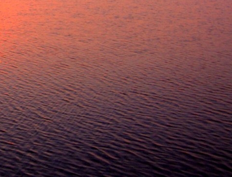 粉象生活什么时候开始上线的