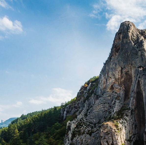 粉象官方邀请码是多少