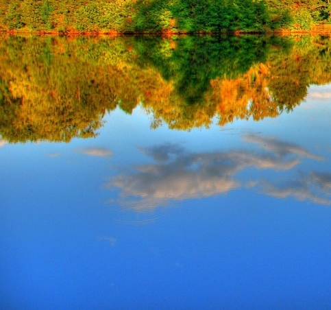 粉象生活怎么赚钱