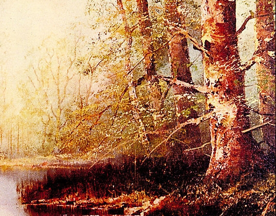 粉象生活无法结算