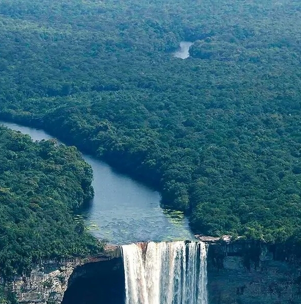 惠州粉象生活商城