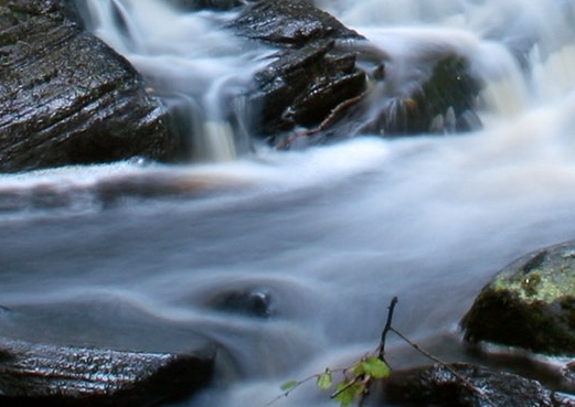 杭州粉象生活市场行情