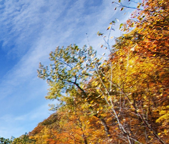 舟山带鱼品牌有哪些