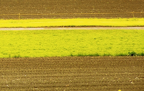 粉象生活总代理