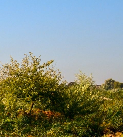 生活微笑图片唯美