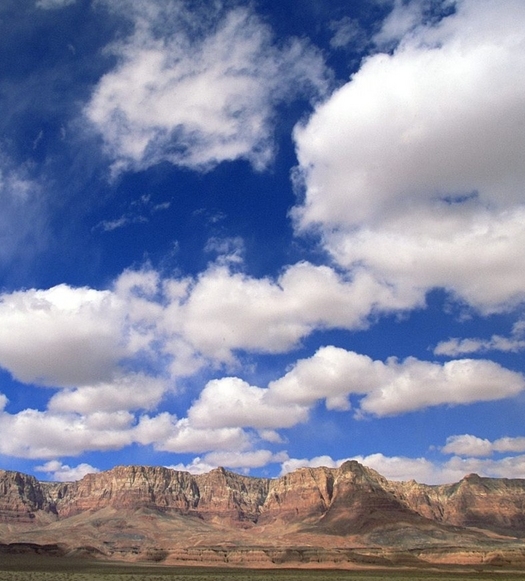 粉象生活的生意怎么样