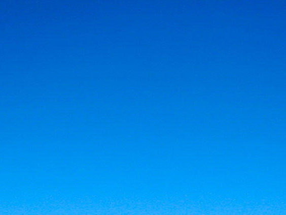 粉象生活实战家