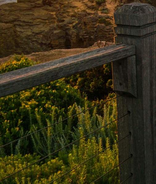 粉象生活邀请码填哪个好