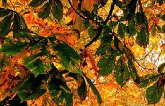 做粉象生活真的可以月入上万吗