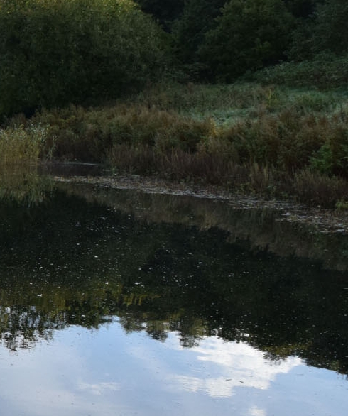 江西万之象生活服务