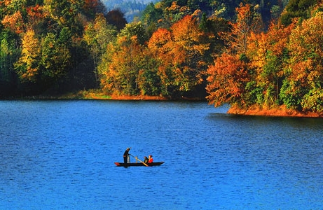 粉象生活推广语录
