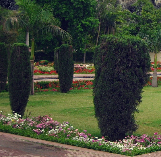 粉象生活怎么赚钱