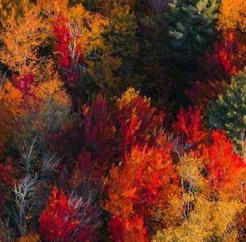 粉象生活上怎么找客户