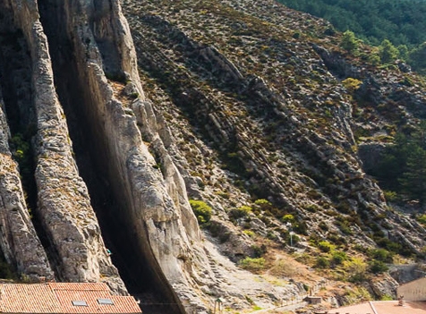 粉象挣钱是真的吗