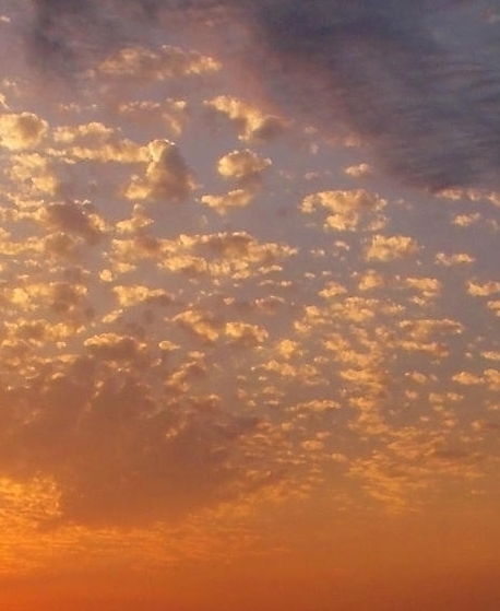 粉象生活所有内容