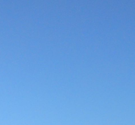 粉象生活代理几级