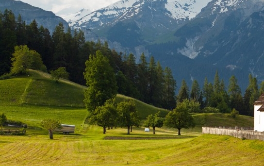 安徽护航生态骗人