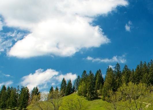 辽宁运营粉象生活好不好