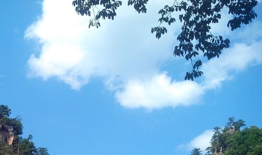 粉象这个平台合法吗